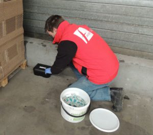 L'automne : saison propice aux rongeurs